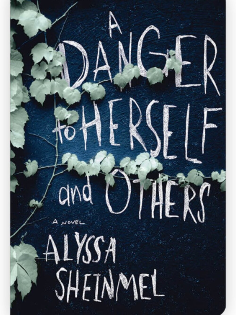 2/$10 A Danger to Herself and Others by Alyssa Sheinmel